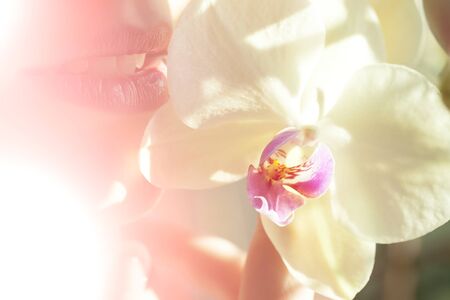 Woman smelling and touching with hand tender white orchid flower closeup, horizontal pictureの写真素材