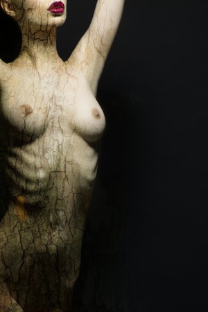 Beautiful posing woman with bark textureの写真素材
