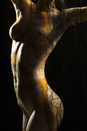 Posing hot woman with bark textureの写真素材