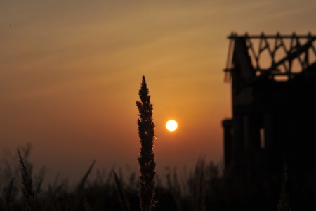 Blurry photo of grass with spikelets meadow with unfinished house at evening sunset in summer or autumn, horizontal photoの写真素材