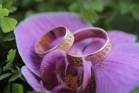 Closeup of violet fresh orchid flower with two beautiful engagement golden rings on green natural backgroud, horizontal pictureの写真素材