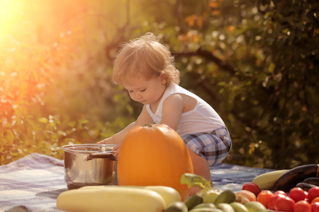 Small boy at picnic sitting playing with big pot standing among orange pumpkin red tomato squash and cucumber on blue checkered plaid on natural background sunny day, horizontal pictureの写真素材