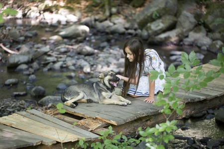 Little brunette girl in white red blue traditional ukrainian embroidery dress standing on knees softly touching young dog without breed lying on wooden bridge on natural background, horizontal pictureの写真素材