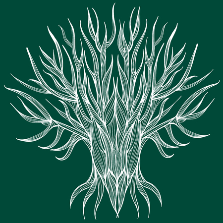 Vector illustration of one drawn from white lines bare tree with leafless branches full length standing on green backgroundのイラスト素材