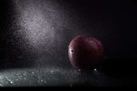 One ripe tasty beautiful seasoning fruit berry of purple wet plum with water spray lying in studio on black background, horizontal pictureの写真素材