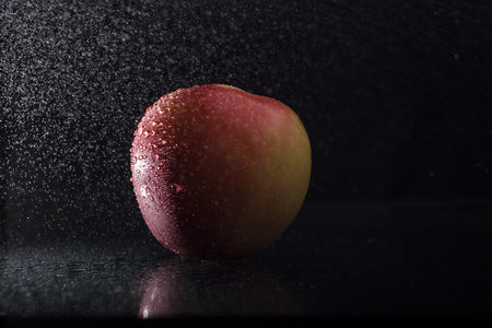 One ripe tasty beautiful seasoning berry fruit of red yellow wet apple with water spray lying in studio on black background, horizontal pictureの写真素材