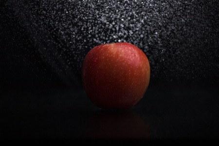 One ripe tasty beautiful seasoning berry fruit of red yellow wet apple with water spray lying in studio on black background, horizontal pictureの写真素材