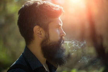 Closeup portrait side view of one senior serious man with long lush beard holding in mouth and smoking unhealthy cigarette with smoke sunny day outdoor on natural background, horizontal pictureの写真素材