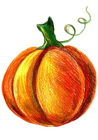 Art freehand pencil sketch illustration of one orange yellow and green halloween pumpkin vegetable on white background, vertical pictureの写真素材
