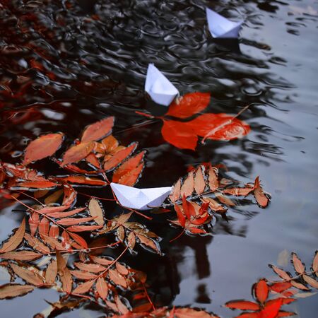 Closeup view of many beautiful colorful autumn tree leaves red yellow orange green colors floating on wavy water with reflection of nature with white paper ship on outdoor background, square pictureの写真素材