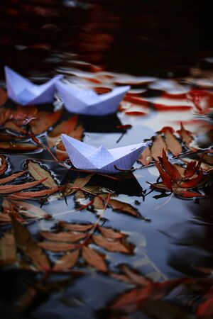 Closeup view of many beautiful colorful autumn tree leaves red yellow orange green colors floating on wavy water with reflection of nature with white paper ship on outdoor background, vertical pictureの写真素材