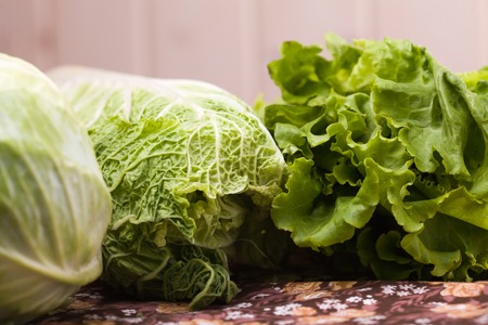 Variety of green colored vegetables bunch of lettuce salad chinese and white cabbage on light blur background indoor closeup, horizontal pictureの写真素材