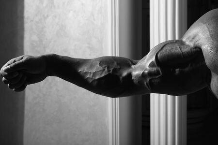Photo closeup one strong male arm with big biceps venous dilation of bodybuilder athlete aesthetically muscular physique black and white on gray background, horizontal pictureの写真素材