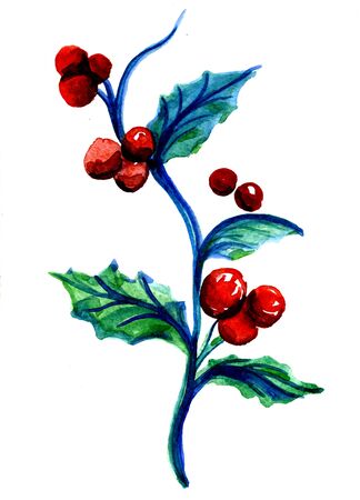 Closeup watercolor aquarelle painting hand drawn silhouette of elegant Christmas green branch with red berries for decoration on white background, vertical pictureの写真素材