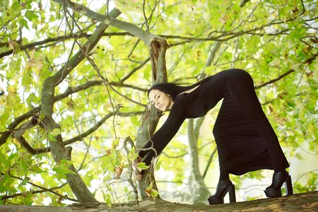 One beautiful sensual sexy slim brunette pensive woman standing in autumn forest outdoor in long black dress on natural background, horizontal pictureの写真素材
