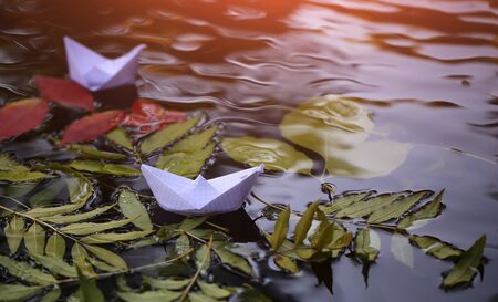 Closeup view of many beautiful colorful autumn tree leaves red yellow orange green colors floating...