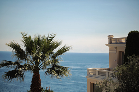 Photo seen from above of tropical tall straight green palm tree with large evergreen leaves white building silhouetted against blue sea and clear sky on seascape background, horizontal pictureの写真素材