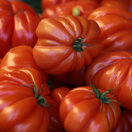 Photo closeup many clean organic fresh tasty ripe red tomatoes crop fruit full of vitamin for healthy eating diet ball form for sale on natural background, square pictureの写真素材