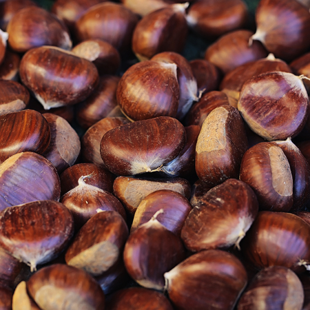 Photo closeup of many fresh tasty ripe sweet chestnut brown husks fruit edible seeds nuts full of...