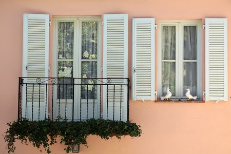 Photo closeup of pink plastered facade of town house with white window decorated with two doves open shutters and small balcony with green climbing plants on cityscape background, horizontal pictureの写真素材