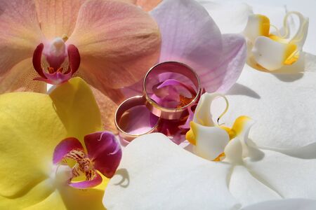 Two elegant pretty golden wedding rings jewel on blossom of fresh colorful yellow pink white splendid orchids flowers natural traditional arrangement for nuptial ceremony closeup studio, horizontalの写真素材