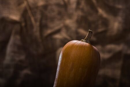 Closeup photo of top part of sweet juicy orange with yellow blotch calabash with smooth peel and peduncle on burlap background, horizontal pictureの写真素材