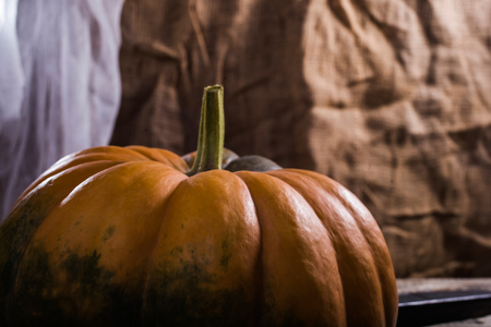 Top part of flat round orange cucurbita with smooth segmented surface green blotch and manysided peduncle on burlap with white cloth background, horizontal photoの写真素材