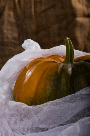 White air fabric around big orange segmented cucurbita with green spot and manysided stem, vertical photoの写真素材