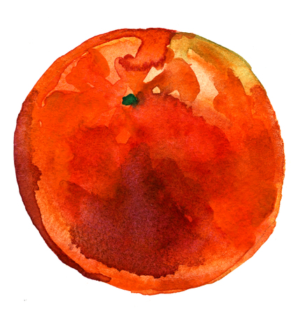 Beautiful ripe tropical sweet orange citrus fruit painted by watercolor technics freehand illustration on white background hand drawn postcard print textile decorの写真素材