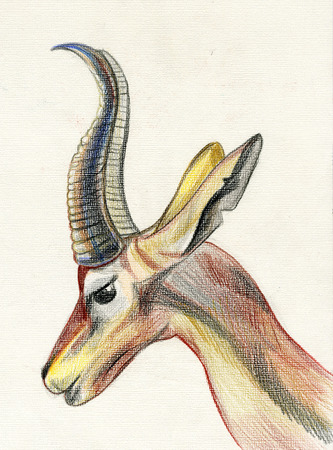 Closeup beautiful multicolor horny roe deer head muzzle side-on pattern drawing freehand sketch art linen texture against white colour background, vertical pictureの写真素材