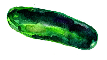 Closeup pleasing artistic water-color aquarelle freehand sketch rough drawing hand drawn of cucumber water paint strokes and dabs texture paper over white background, horisontal pictureの写真素材