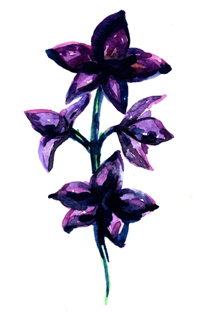 Closeup pleasing artistic water-color aquarelle freehand sketch hand drawn purple spray of blossom water paint strokes and dabs texture paper over white background, vertical pictureの写真素材