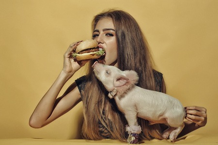 Beautiful young sensual woman and cute pink small pig pet in cloth eating tasty big fresh burger on yellow background, horizontal pictureの写真素材