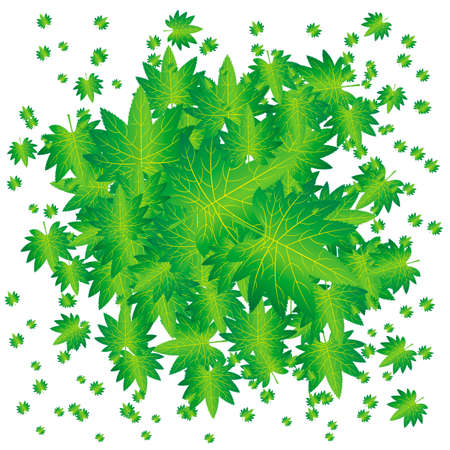 Floral illustration of many bright seasonal vector green leaves in round heap on white backgroundのイラスト素材