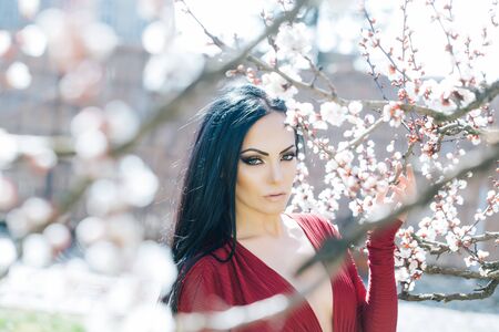 Seasonal feature, beauty and fashion. Beautiful woman near apricot blooming tree.の写真素材