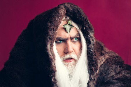 Zeus god man or jupiter with vine crown on long hair with beardの写真素材