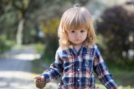 Little boy child with pinecone outdoors in sunny summer day closeupの写真素材