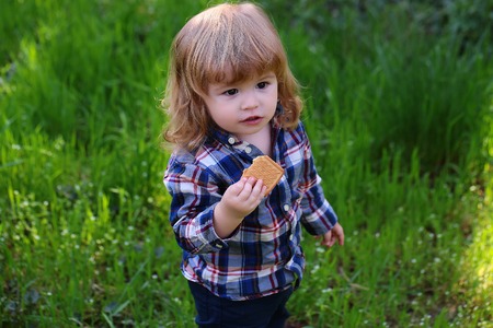 Carefree little baby boy in the park with green fresh grass in springの写真素材