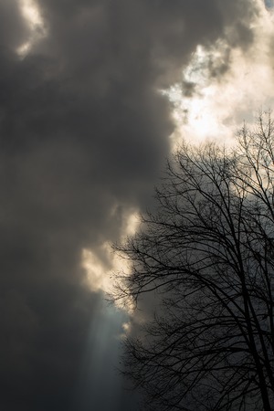 Silhouette of bare tree with cloudy dark grey sky hiding sun raysの写真素材