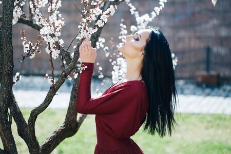 Seasonal feature, beauty and fashion. Beautiful woman near apricot blooming tree.の写真素材