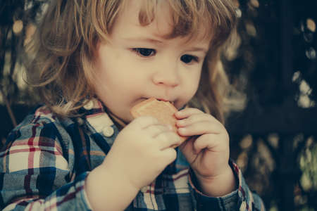 Little boy child eating biscuit outdoors in sunny summer day closeupの写真素材