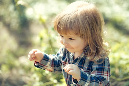 Carefree little baby boy in the park with green fresh grass in springの写真素材