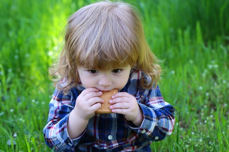 Carefree little baby boy in the park with green fresh grass in springの写真素材
