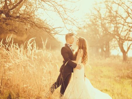 Young newlywed couple of woman in wedding dress and man walking in field in sunlight outdoorの写真素材