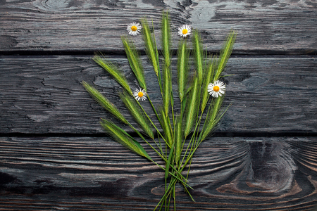 Field green grass and bunch of daisy on dark textured wooden background, copy spaceの写真素材