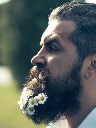 Handsome hipster man brunette with daisy flowers in beard in black shirt with elegant mustache and stylish hair sunny day outdoorの写真素材