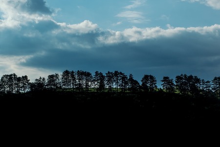 Tree line silhouette with blue cloudy sky and dark black ground, copy space
