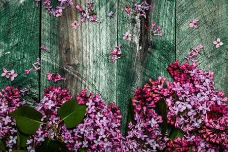 Beautiful lilac flowers on seasonal blooming twig with green leaves lying on blue wooden board...