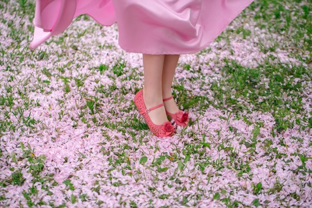 Female feet in red shoes of small girl in dress standing on green grass covered with spring flower blossom petals outdoorの写真素材