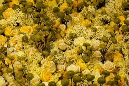 Bunch of flowers roses fresh bright yellow beautiful blooming on floral background